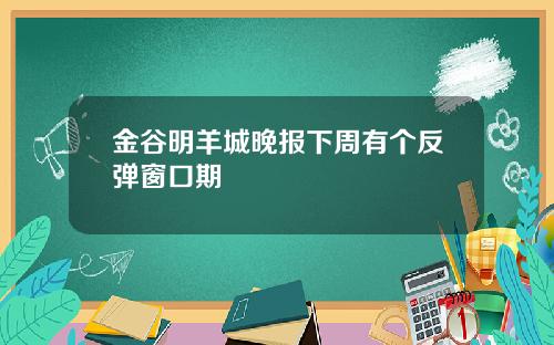 金谷明羊城晚报下周有个反弹窗口期