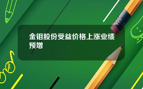 金钼股份受益价格上涨业绩预增