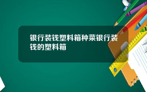 银行装钱塑料箱种菜银行装钱的塑料箱