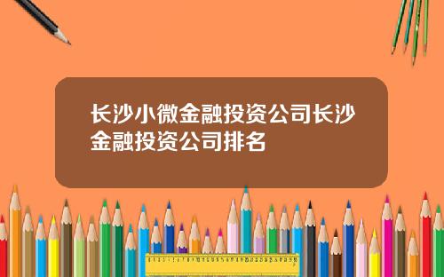 长沙小微金融投资公司长沙金融投资公司排名