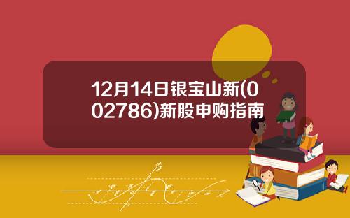 12月14日银宝山新(002786)新股申购指南