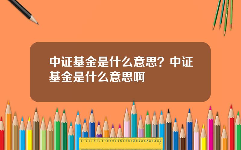 中证基金是什么意思？中证基金是什么意思啊
