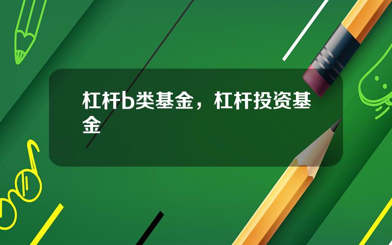 杠杆b类基金，杠杆投资基金