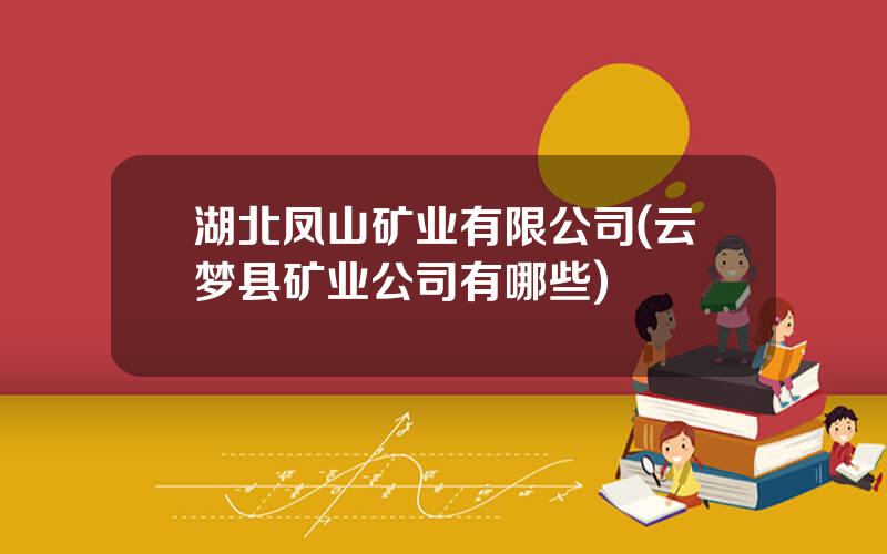 湖北凤山矿业有限公司(云梦县矿业公司有哪些)