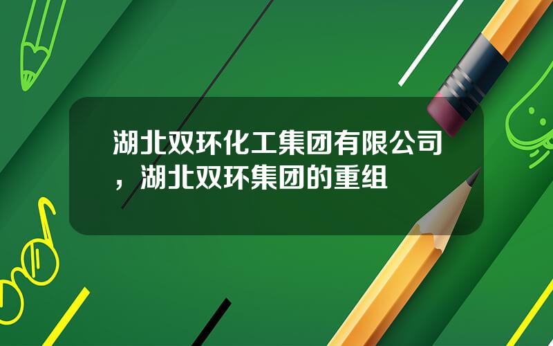 湖北双环化工集团有限公司，湖北双环集团的重组