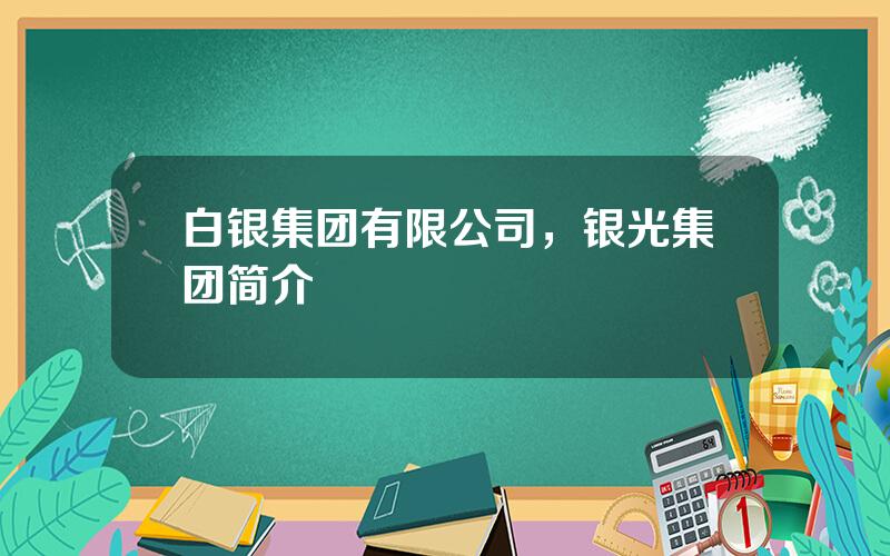 白银集团有限公司，银光集团简介