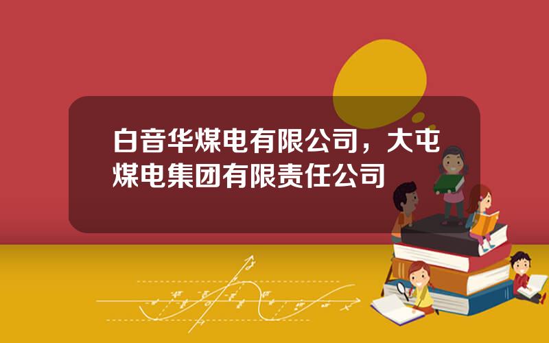 白音华煤电有限公司，大屯煤电集团有限责任公司