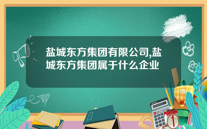 盐城东方集团有限公司,盐城东方集团属于什么企业