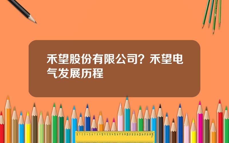 禾望股份有限公司？禾望电气发展历程
