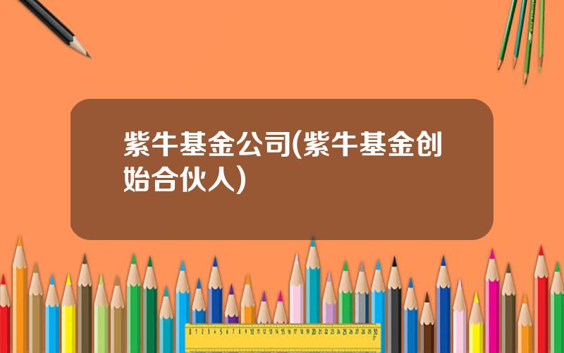 紫牛基金公司(紫牛基金创始合伙人)