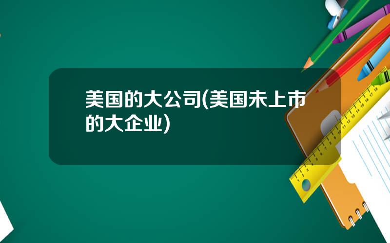 美国的大公司(美国未上市的大企业)