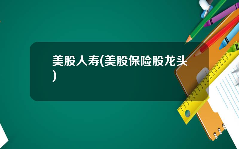 美股人寿(美股保险股龙头)