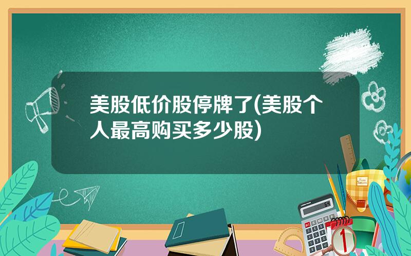 美股低价股停牌了(美股个人最高购买多少股)
