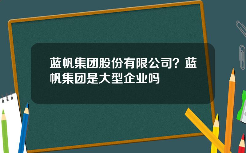 蓝帆集团股份有限公司？蓝帆集团是大型企业吗