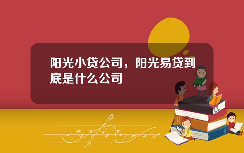 阳光小贷公司，阳光易贷到底是什么公司