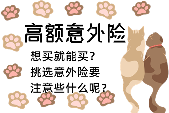 高额意外险想买就能买？挑选意外险要注意些什么呢？