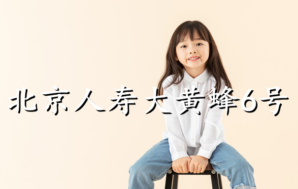 北京人寿少儿重疾险 大黄蜂6号少儿重疾险怎么样？_1
